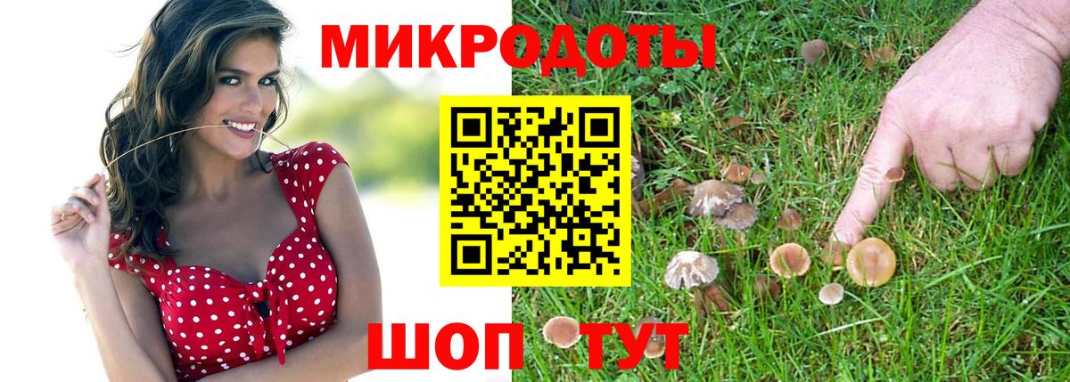 Псилоцибиновые грибы Psilocybine cubensis Губкин