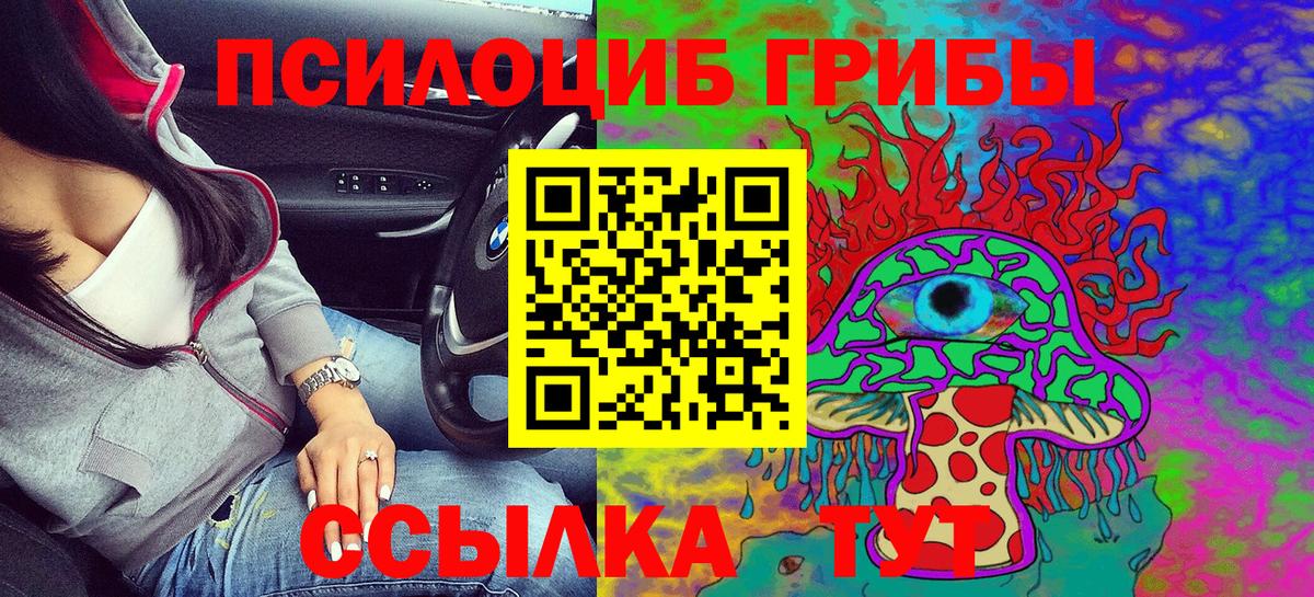 Губкин  Галлюциногенные грибы GOLDEN TEACHER  Вход с VPN 